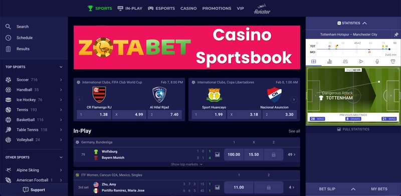 Entdecken Sie Zotabet Online Casino - Echtgeldspiele für deutsche Spieler
